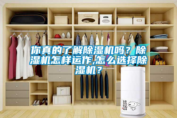 你真的了解除濕機嗎？除濕機怎樣運作,怎么選擇除濕機？