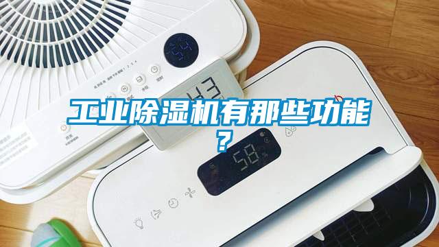 工業除濕機有那些功能？