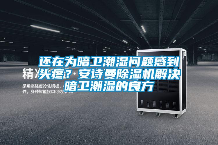 還在為暗衛潮濕問題感到頭疼？安詩曼除濕機解決暗衛潮濕的良方