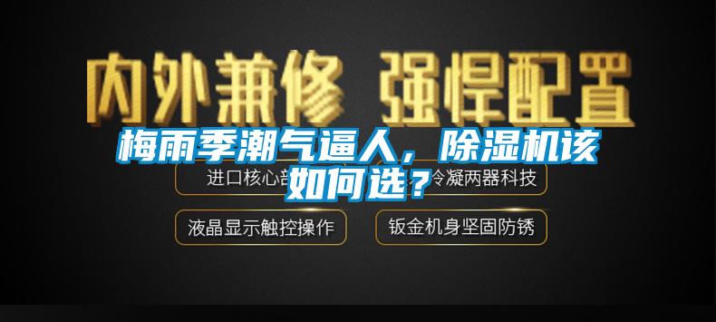 梅雨季潮氣逼人，除濕機(jī)該如何選？