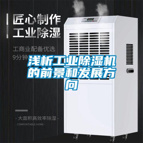 淺析工業除濕機的前景和發展方向