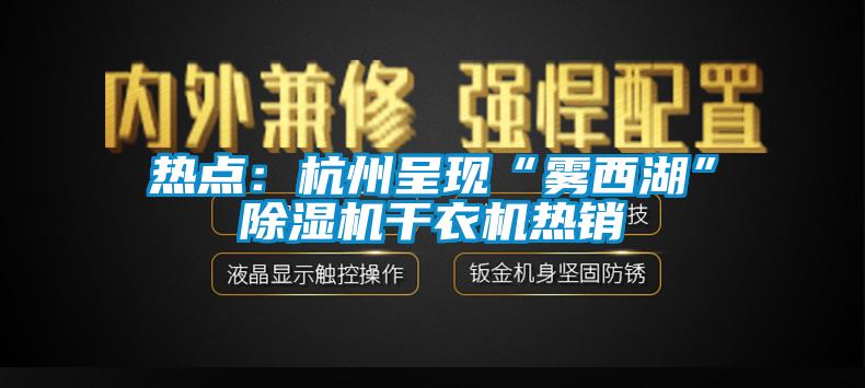 熱點：杭州呈現“霧西湖”除濕機干衣機熱銷