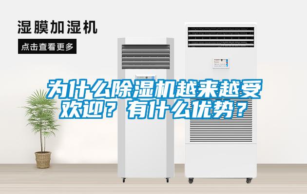 為什么除濕機越來越受歡迎？有什么優勢？