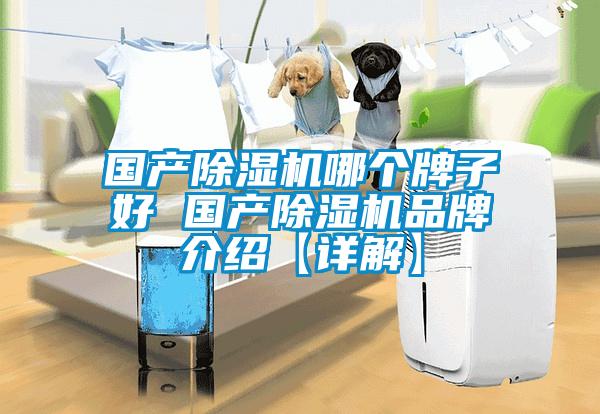 國產除濕機哪個牌子好 國產除濕機品牌介紹【詳解】