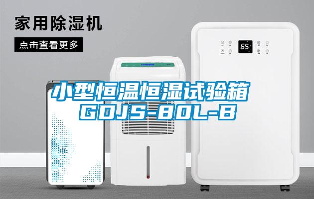 小型恒溫恒濕試驗箱 GDJS-80L-B