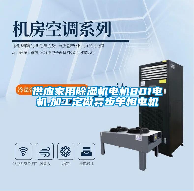 供應(yīng)家用除濕機(jī)電機(jī)801電機(jī),加工定做異步單相電機(jī)