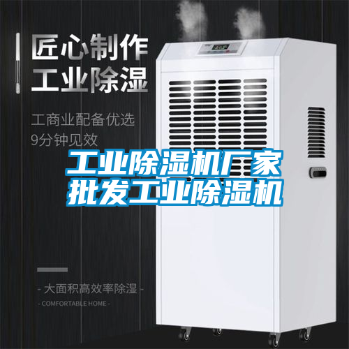 工業除濕機廠家批發工業除濕機