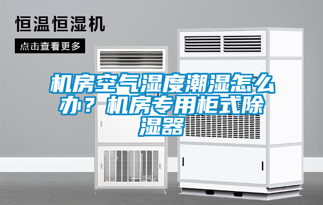 機房空氣濕度潮濕怎么辦？機房專用柜式除濕器