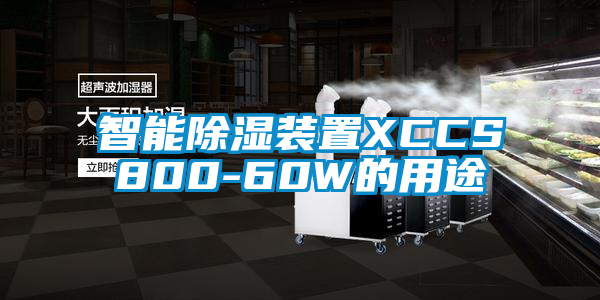 智能除濕裝置XCCS800-60W的用途