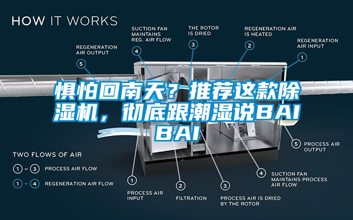 懼怕回南天？推薦這款除濕機，徹底跟潮濕說BAIBAI