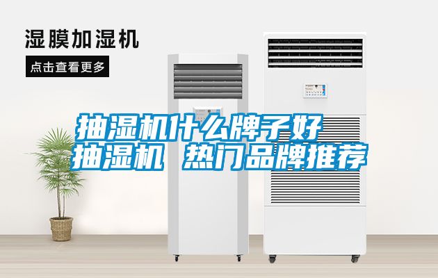 抽濕機什么牌子好  抽濕機 熱門品牌推薦