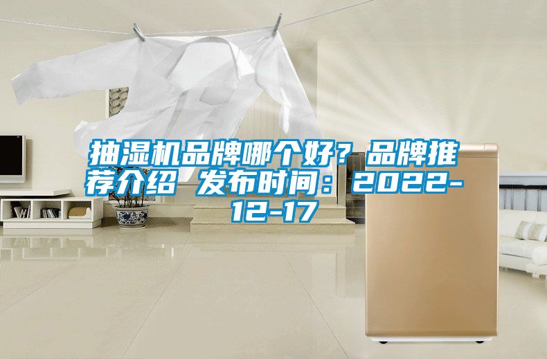 抽濕機(jī)品牌哪個好？品牌推薦介紹 發(fā)布時間：2022-12-17