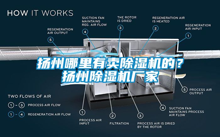 揚州哪里有賣除濕機的？揚州除濕機廠家