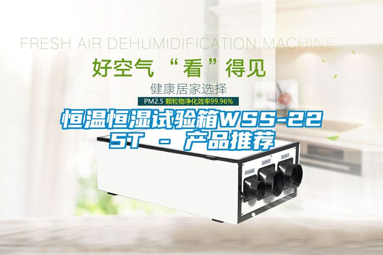 恒溫恒濕試驗箱WSS-225T - 產品推薦