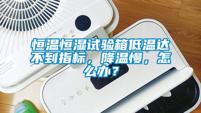 恒溫恒濕試驗箱低溫達不到指標，降溫慢，怎么辦？