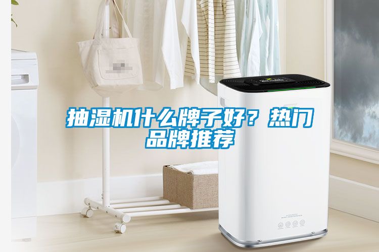 抽濕機什么牌子好？熱門品牌推薦