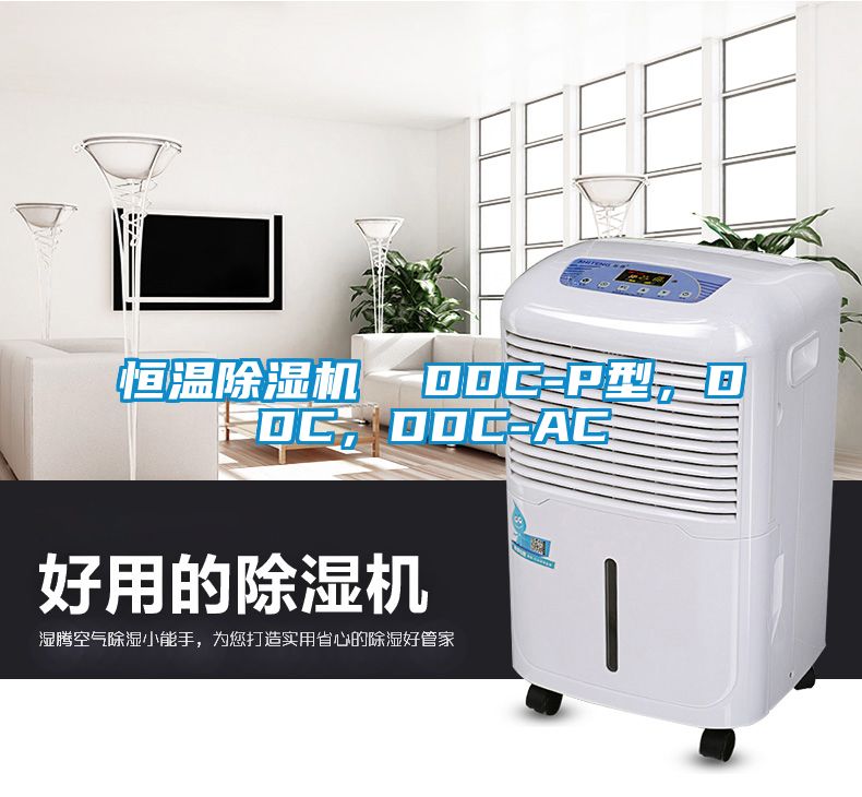 恒溫除濕機(jī)  DDC-P型，DDC，DDC-AC