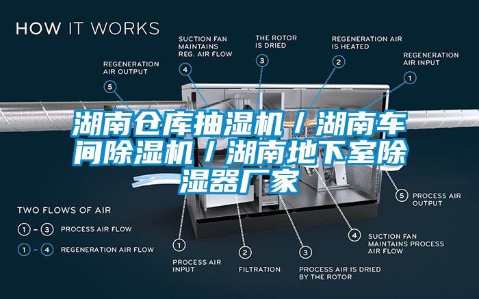 湖南倉庫抽濕機／湖南車間除濕機／湖南地下室除濕器廠家