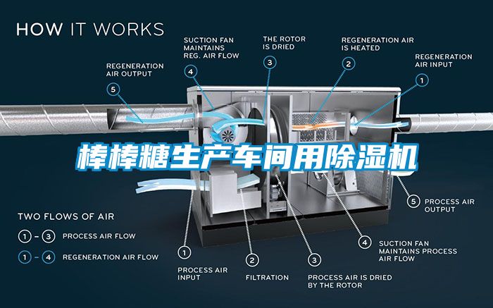 棒棒糖生產車間用除濕機