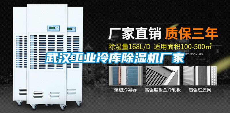 武漢工業冷庫除濕機廠家