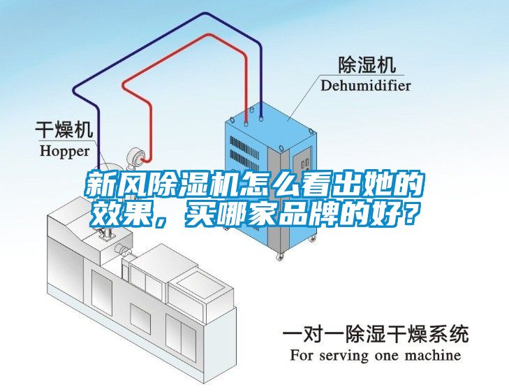 新風除濕機怎么看出她的效果，買哪家品牌的好？