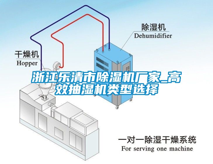 浙江樂清市除濕機(jī)廠家_高效抽濕機(jī)類型選擇