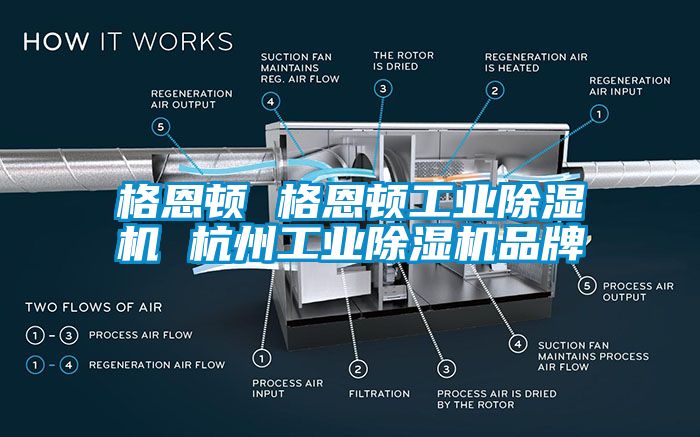 格恩頓 格恩頓工業除濕機 杭州工業除濕機品牌