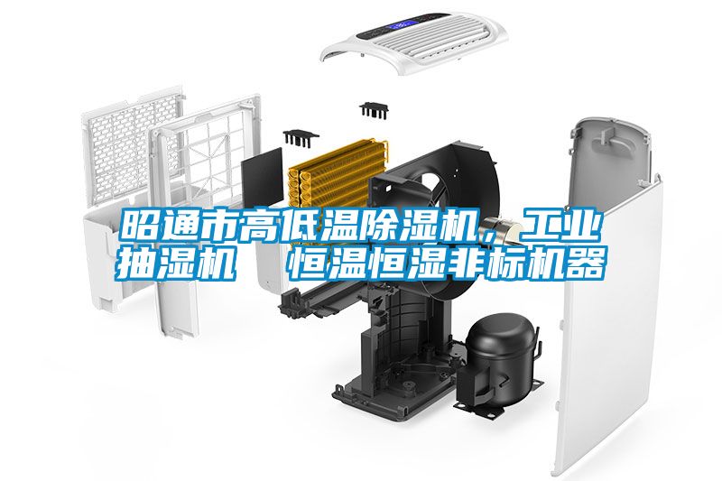 昭通市高低溫除濕機，工業抽濕機  恒溫恒濕非標機器