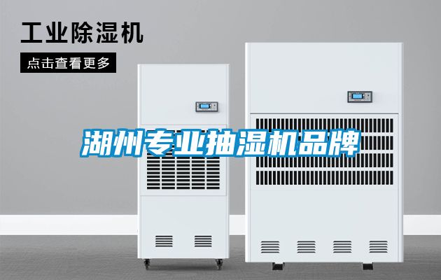 湖州專業抽濕機品牌