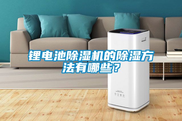 鋰電池除濕機的除濕方法有哪些？