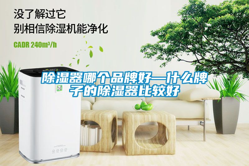 除濕器哪個品牌好—什么牌子的除濕器比較好