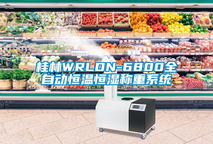 桂林WRLDN-6800全自動恒溫恒濕稱重系統