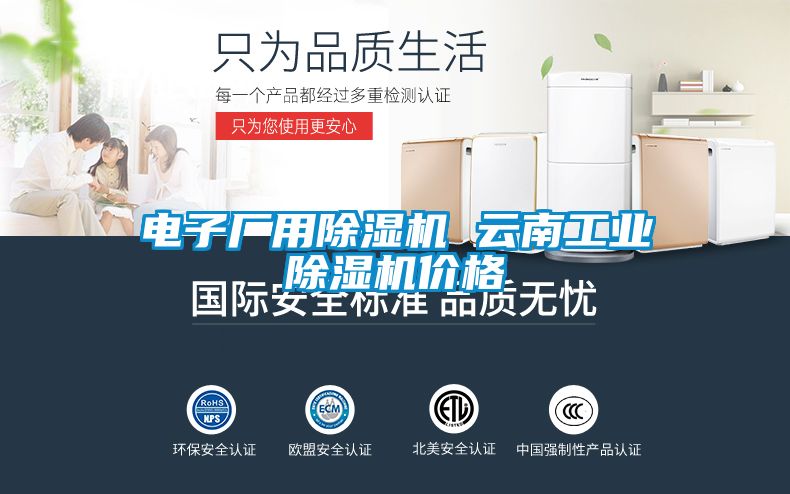 電子廠用除濕機 云南工業除濕機價格