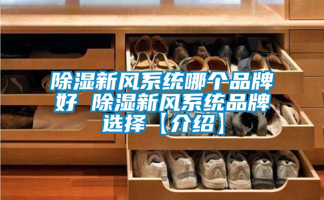 除濕新風系統哪個品牌好 除濕新風系統品牌選擇【介紹】