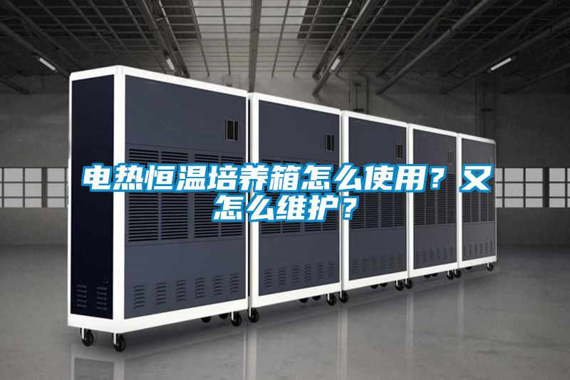 電熱恒溫培養箱怎么使用？又怎么維護？