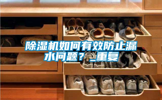 除濕機如何有效防止漏水問題？_重復