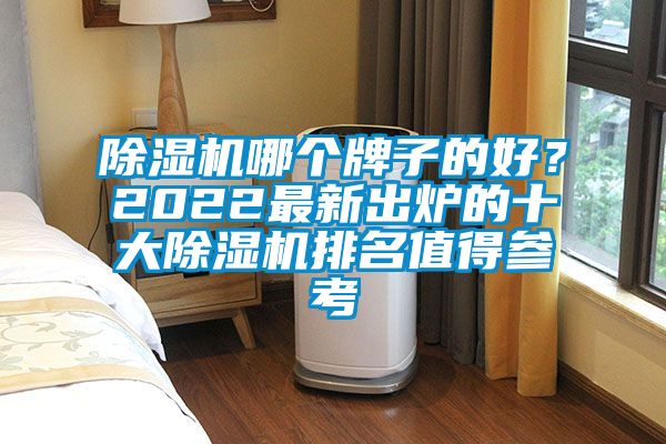 除濕機哪個牌子的好？2022最新出爐的十大除濕機排名值得參考