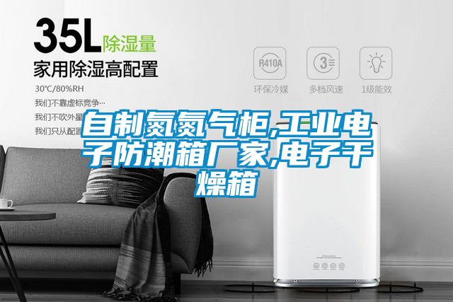 自制氮氮氣柜,工業電子防潮箱廠家,電子干燥箱