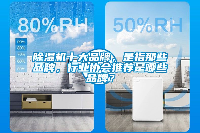 除濕機十大品牌，是指那些品牌，行業協會推薦是哪些品牌？