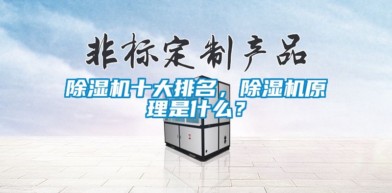 除濕機十大排名，除濕機原理是什么？