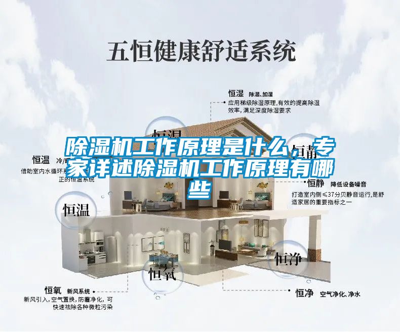 除濕機工作原理是什么，專家詳述除濕機工作原理有哪些