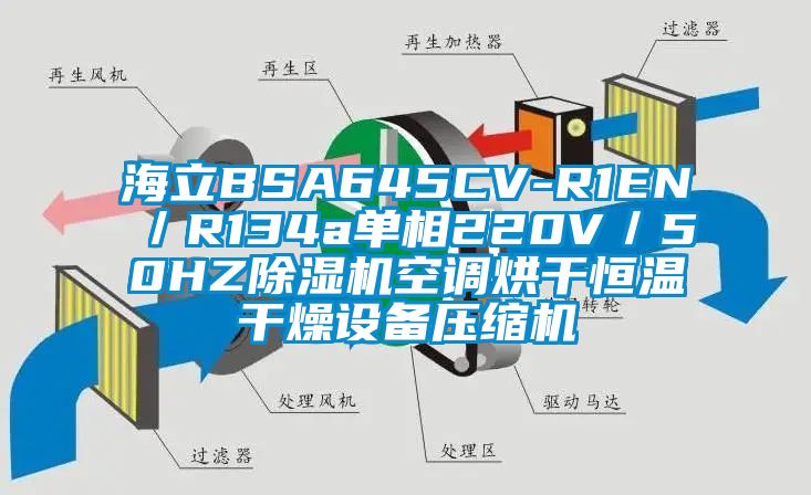 海立BSA645CV-R1EN／R134a單相220V／50HZ除濕機空調烘干恒溫干燥設備壓縮機