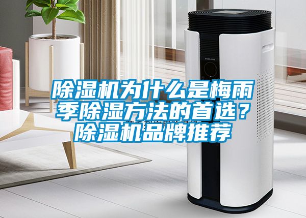 除濕機為什么是梅雨季除濕方法的首選？除濕機品牌推薦