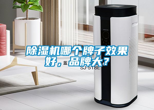 除濕機哪個牌子效果好，品牌大？