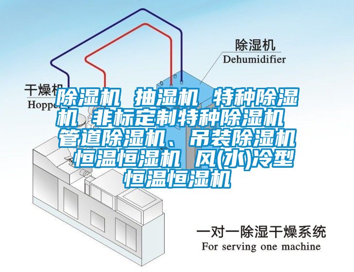 除濕機 抽濕機 特種除濕機 非標定制特種除濕機 管道除濕機、吊裝除濕機 恒溫恒濕機 風(水)冷型恒溫恒濕機