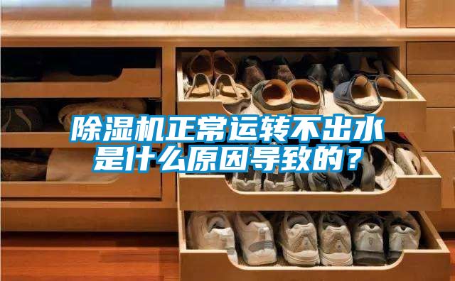 除濕機正常運轉不出水是什么原因導致的？