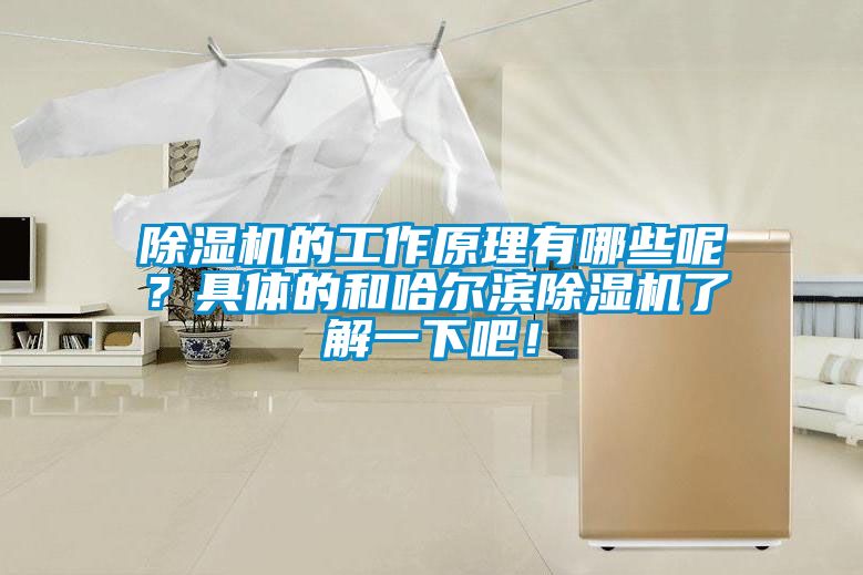 除濕機的工作原理有哪些呢？具體的和哈爾濱除濕機了解一下吧！