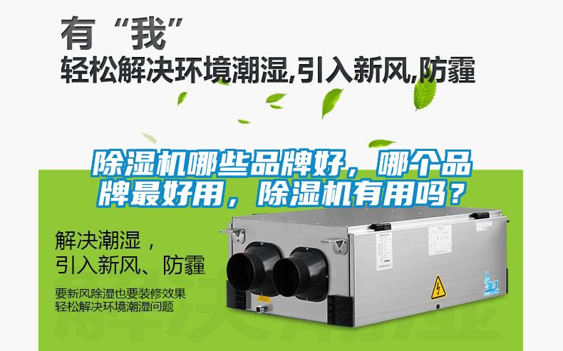 除濕機哪些品牌好，哪個品牌最好用，除濕機有用嗎？