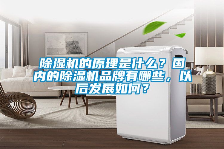 除濕機的原理是什么？國內的除濕機品牌有哪些，以后發展如何？