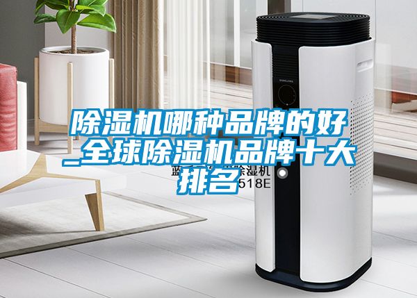 除濕機哪種品牌的好_全球除濕機品牌十大排名